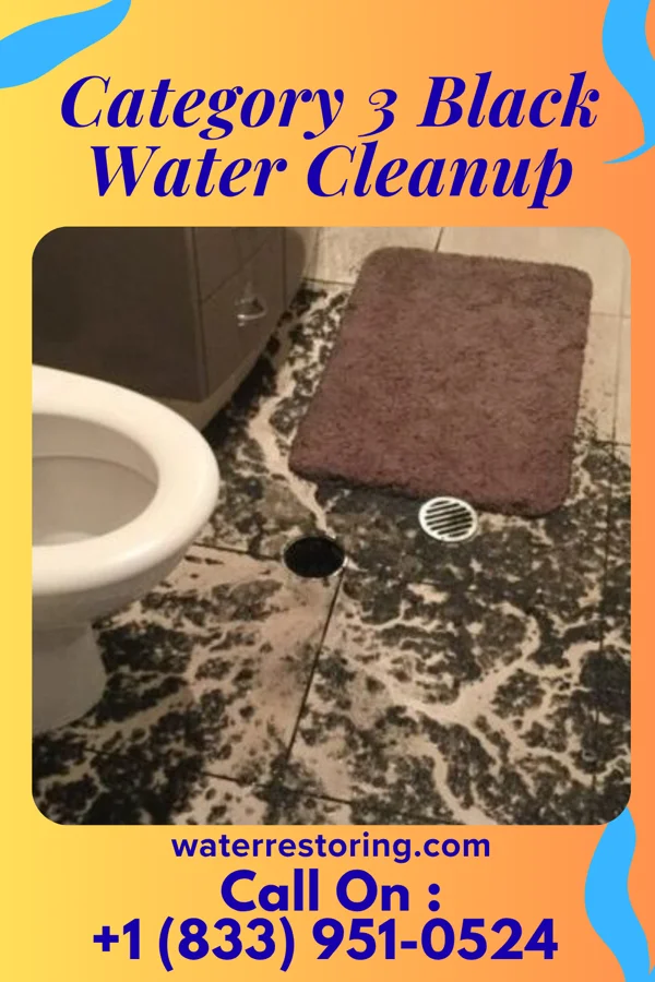 Category 3 Black Water Cleanup in Huber Ridge, OH