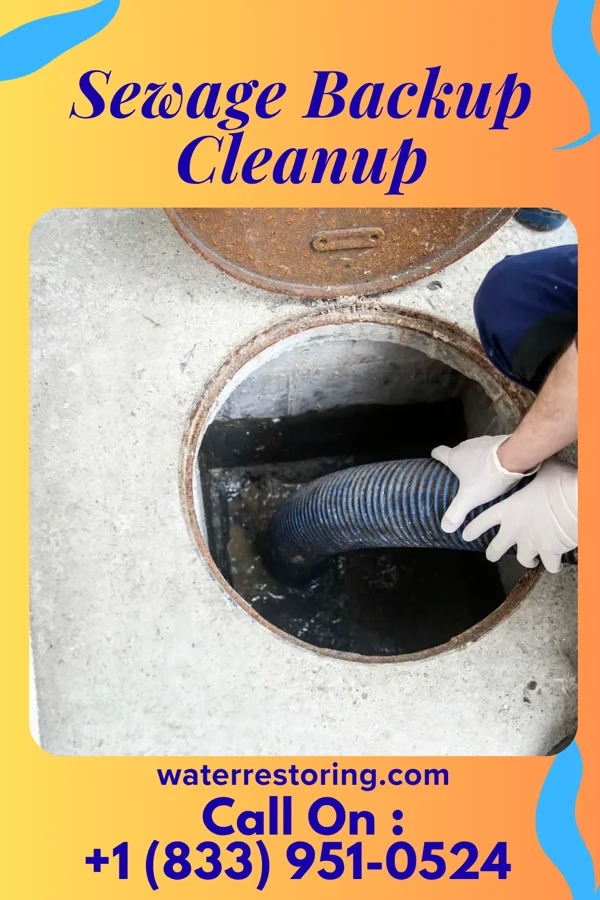 Sewage Backup Cleanup in Huber Ridge, OH