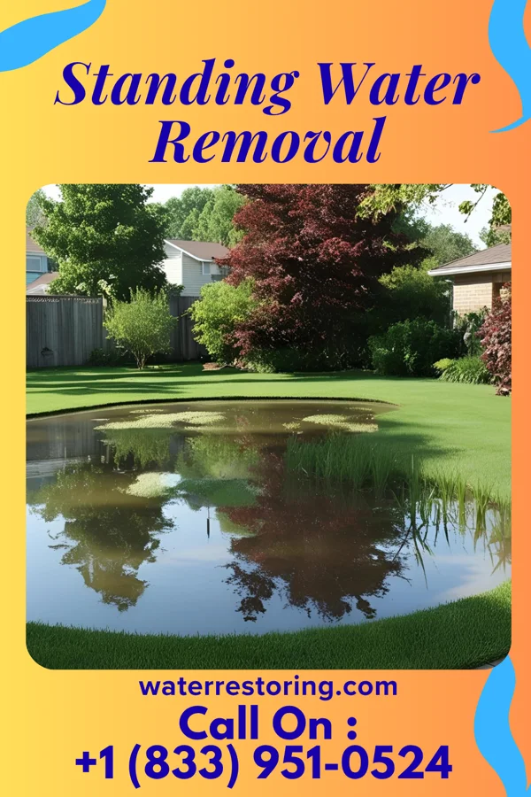 Standing Water Removal in Huber Ridge, OH